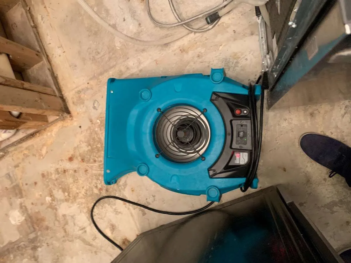 Air mover drying equipment for Mold Remediation & Removal in Forney